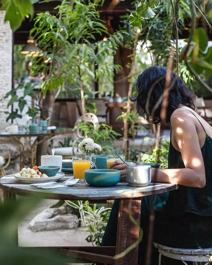 Hotel La Semilla A Member Of Design Hotels (Adults Only) Playa del Carmen 4*,
