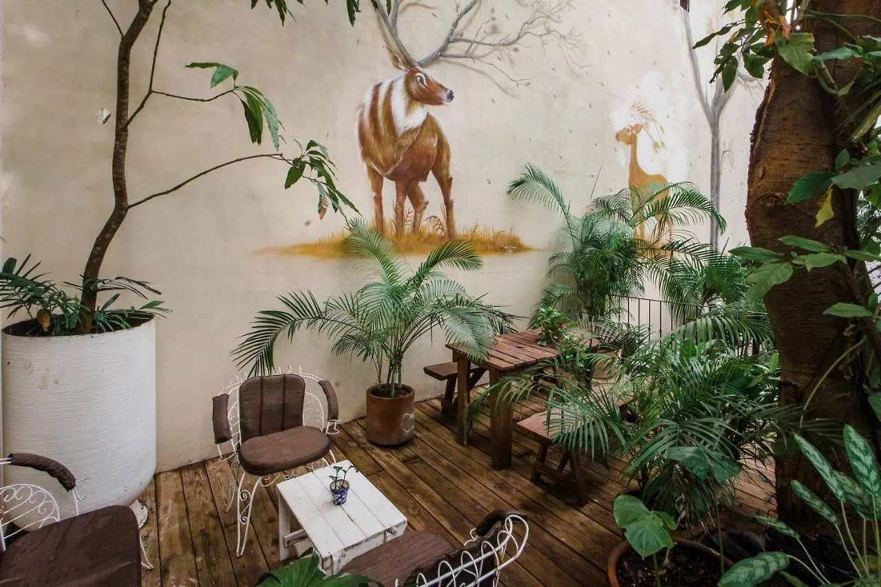 Hotel La Semilla A Member Of Design Hotels (Adults Only) Playa del Carmen Mexico