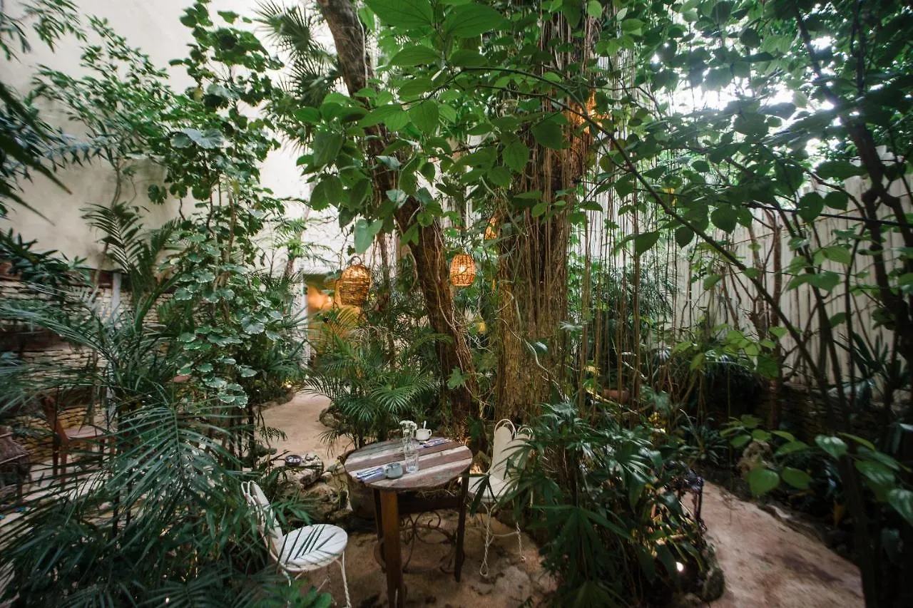****  Hotel La Semilla A Member Of Design Hotels (Adults Only) Playa del Carmen Mexico