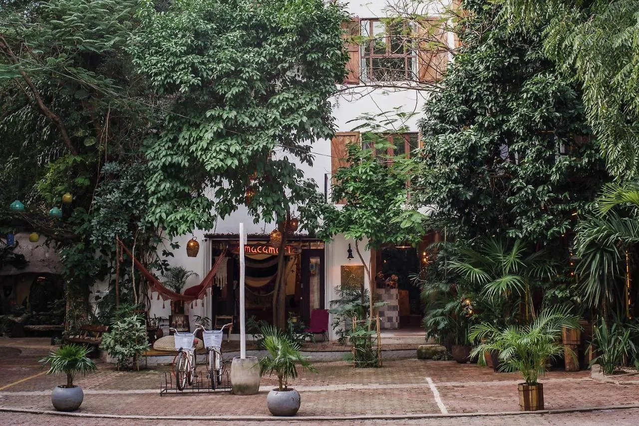 Hotel La Semilla A Member Of Design Hotels (Adults Only) Playa del Carmen