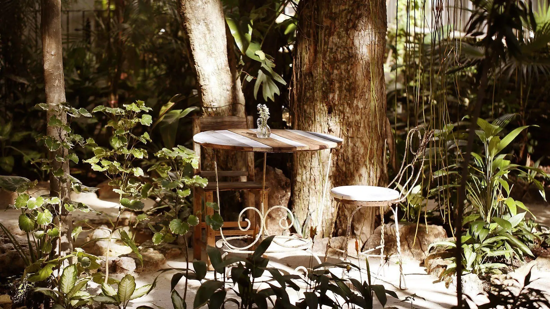 Hotel La Semilla A Member Of Design Hotels (Adults Only) Playa del Carmen